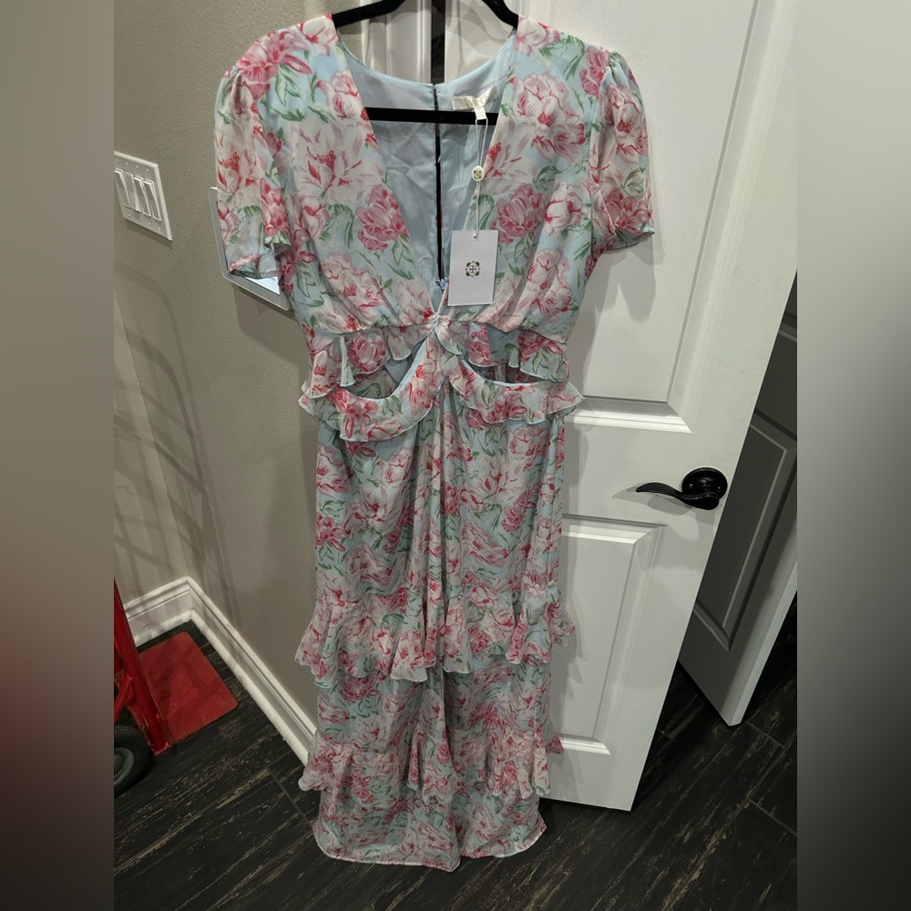 Wayf Floral Pink and Green Dress